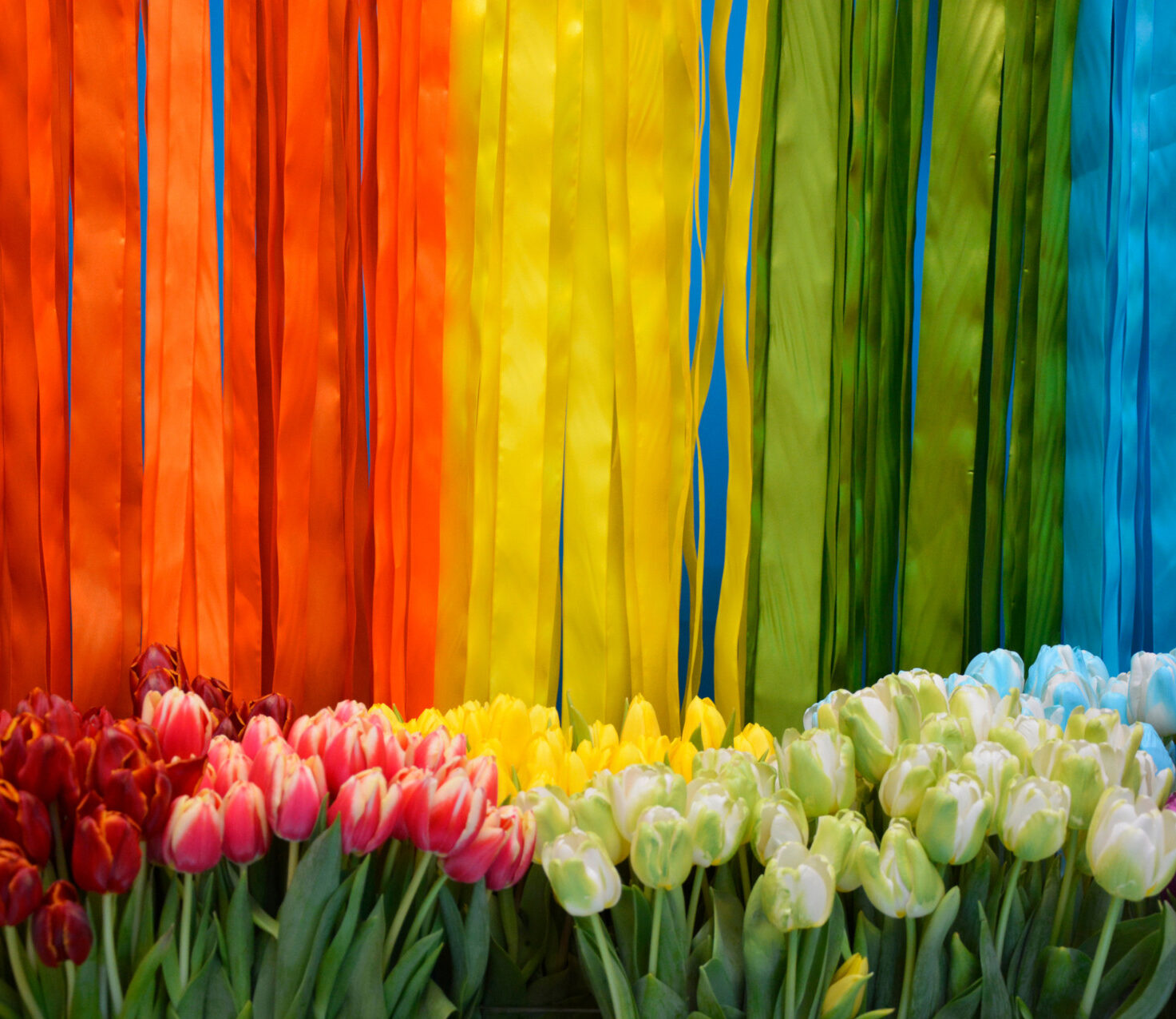 rainbow flowers 1 e1689076462744